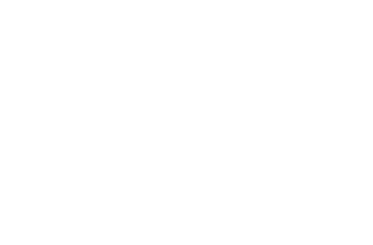 Logo vom Fotohaus Trefzger in Lörrach